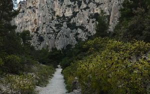 Preview wallpaper mountains, trees, path, landscape, nature