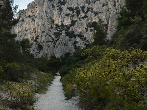 Preview wallpaper mountains, trees, path, landscape, nature