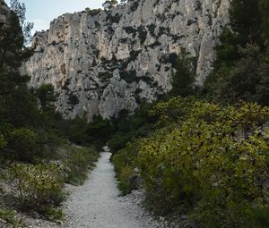 Preview wallpaper mountains, trees, path, landscape, nature