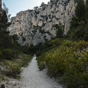 Preview wallpaper mountains, trees, path, landscape, nature