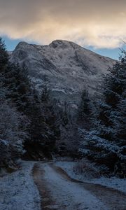 Preview wallpaper mountains, trees, path, snow, winter, nature