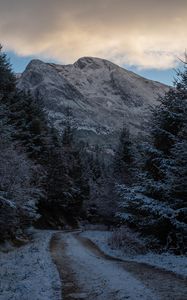 Preview wallpaper mountains, trees, path, snow, winter, nature