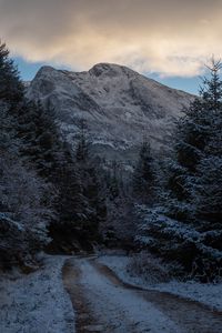 Preview wallpaper mountains, trees, path, snow, winter, nature