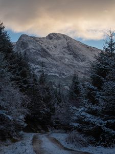 Preview wallpaper mountains, trees, path, snow, winter, nature