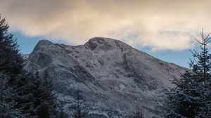 Preview wallpaper mountains, trees, path, snow, winter, nature