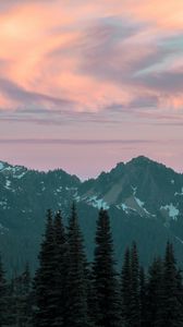 Preview wallpaper mountains, trees, peaks, clouds, sky