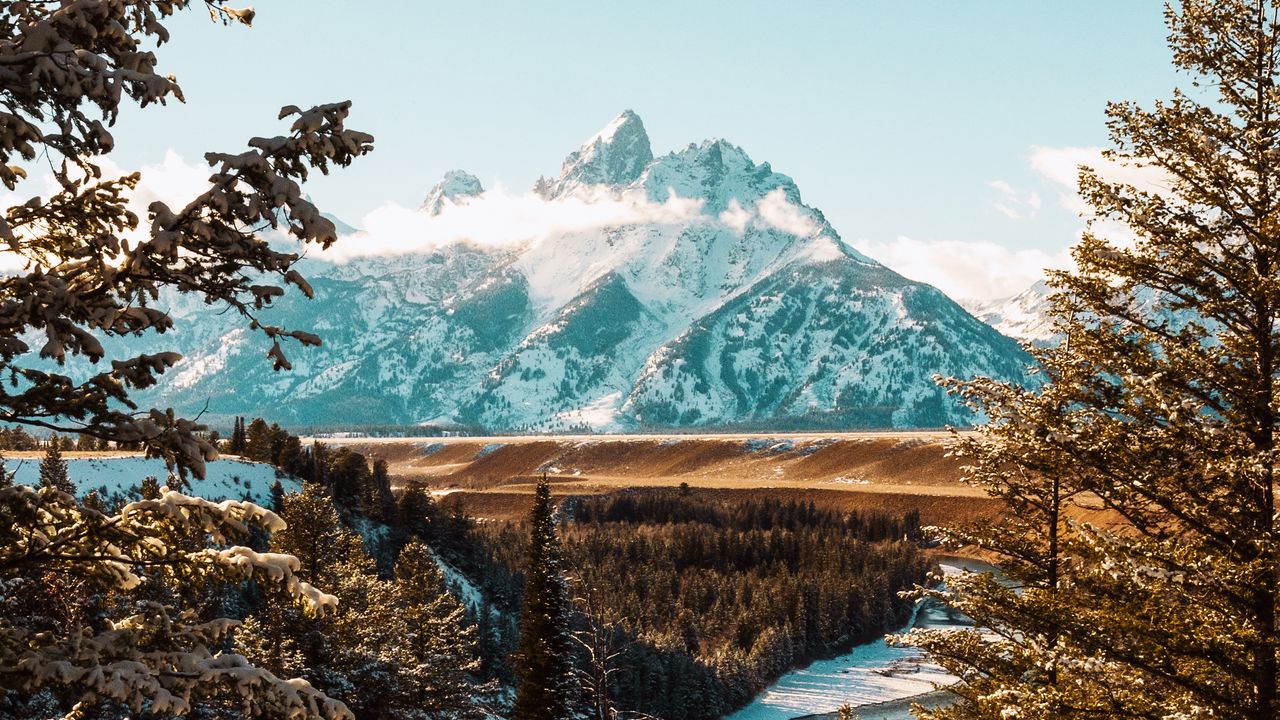 Wallpaper mountains, trees, peaks, branches, landscape