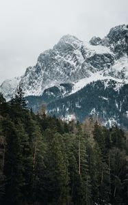 Preview wallpaper mountains, trees, peaks, snowy, germany