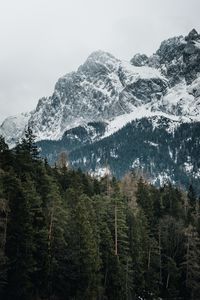 Preview wallpaper mountains, trees, peaks, snowy, germany