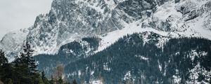 Preview wallpaper mountains, trees, peaks, snowy, germany