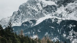 Preview wallpaper mountains, trees, peaks, snowy, germany