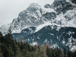 Preview wallpaper mountains, trees, peaks, snowy, germany