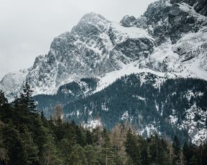 Preview wallpaper mountains, trees, peaks, snowy, germany