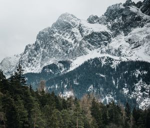 Preview wallpaper mountains, trees, peaks, snowy, germany