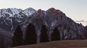Preview wallpaper mountains, trees, peaks, snowy, landscape