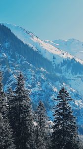 Preview wallpaper mountains, trees, pines, slopes, snowy