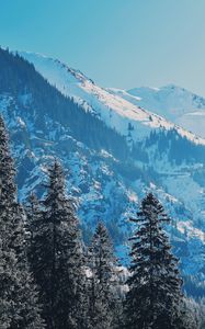 Preview wallpaper mountains, trees, pines, slopes, snowy