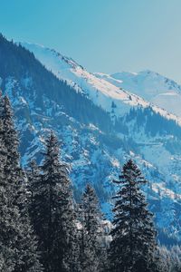 Preview wallpaper mountains, trees, pines, slopes, snowy