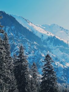 Preview wallpaper mountains, trees, pines, slopes, snowy