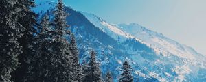 Preview wallpaper mountains, trees, pines, slopes, snowy