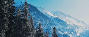 Preview wallpaper mountains, trees, pines, slopes, snowy