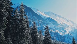 Preview wallpaper mountains, trees, pines, slopes, snowy