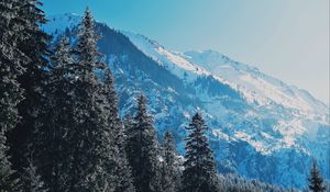 Preview wallpaper mountains, trees, pines, slopes, snowy