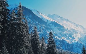 Preview wallpaper mountains, trees, pines, slopes, snowy