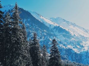 Preview wallpaper mountains, trees, pines, slopes, snowy