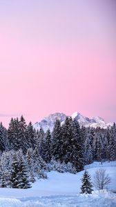 Preview wallpaper mountains, trees, pink, snow