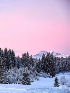 Preview wallpaper mountains, trees, pink, snow