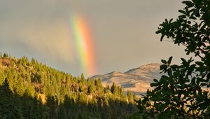 Preview wallpaper mountains, trees, rainbow, landscape