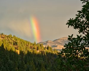 Preview wallpaper mountains, trees, rainbow, landscape