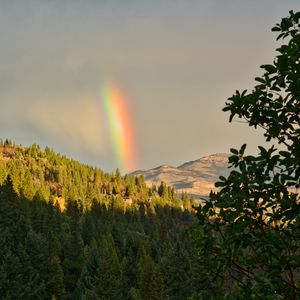 Preview wallpaper mountains, trees, rainbow, landscape