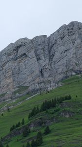 Preview wallpaper mountains, trees, relief, nature