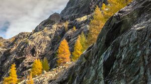 Preview wallpaper mountains, trees, relief, landscape