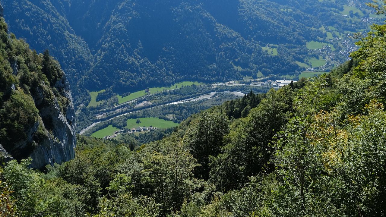 Wallpaper mountains, trees, relief, aerial view, landscape