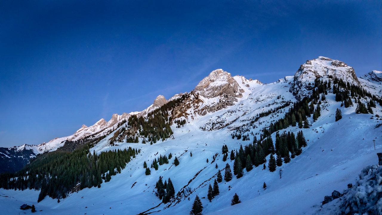 Wallpaper mountains, trees, relief, snow, landscape, winter