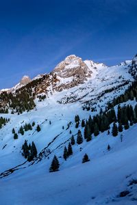 Preview wallpaper mountains, trees, relief, snow, landscape, winter