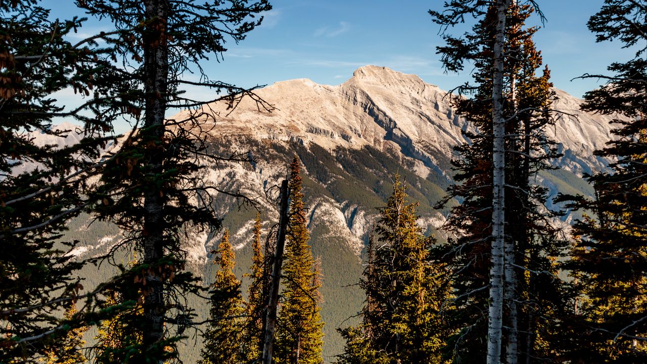 Wallpaper mountains, trees, relief, sky, nature