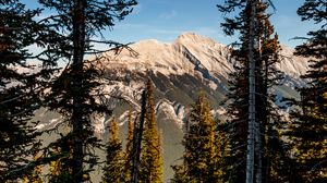 Preview wallpaper mountains, trees, relief, sky, nature
