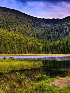 Preview wallpaper mountains, trees, river, grass