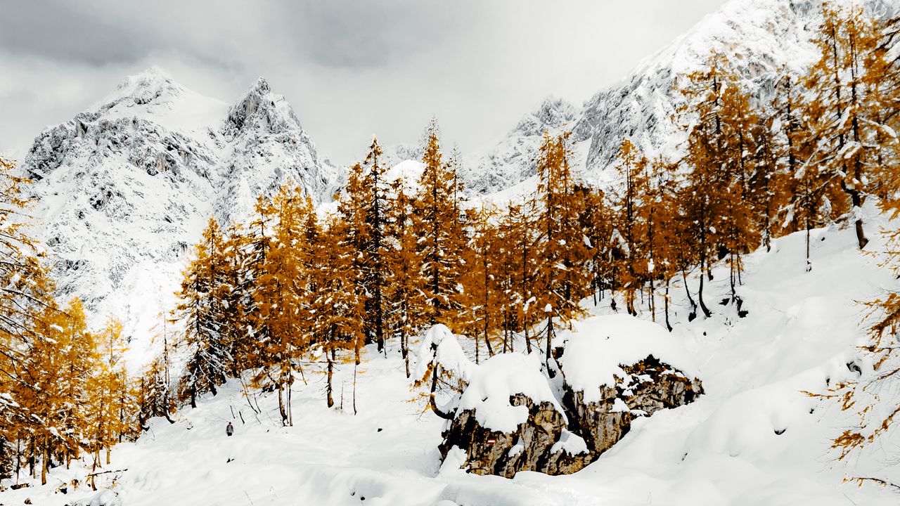Wallpaper mountains, trees, river, snow, winter, nature, landscape