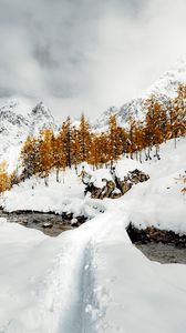 Preview wallpaper mountains, trees, river, snow, winter, nature, landscape
