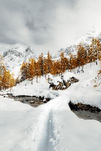 Preview wallpaper mountains, trees, river, snow, winter, nature, landscape