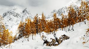 Preview wallpaper mountains, trees, river, snow, winter, nature, landscape