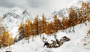 Preview wallpaper mountains, trees, river, snow, winter, nature, landscape