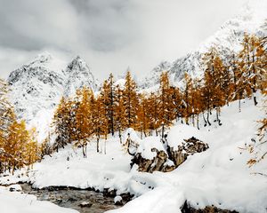 Preview wallpaper mountains, trees, river, snow, winter, nature, landscape