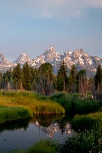 Preview wallpaper mountains, trees, river, meadow, grass, landscape