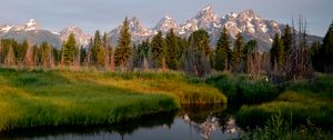 Preview wallpaper mountains, trees, river, meadow, grass, landscape